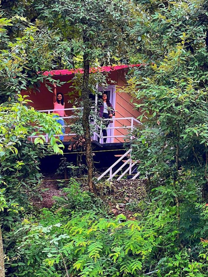 Aaroham Resort Shimla ! Luxury Cottage By Aamod Group Exteriör bild