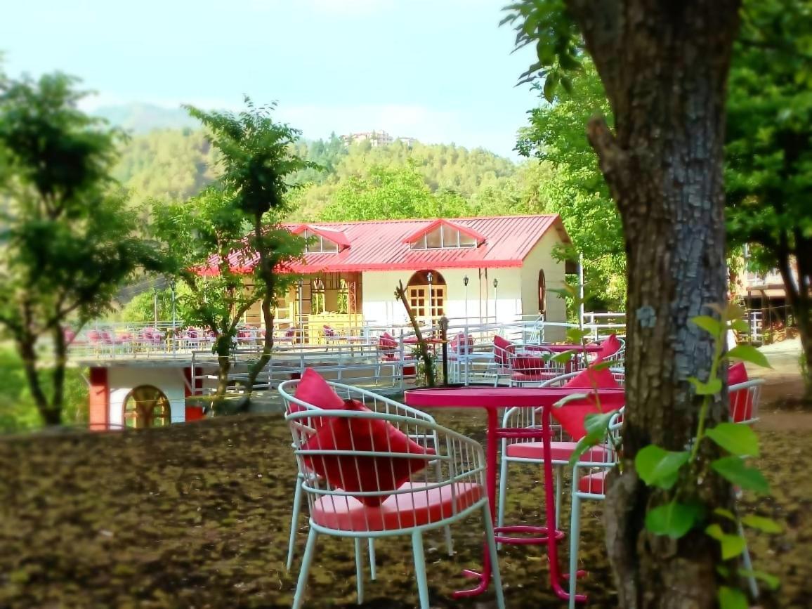Aaroham Resort Shimla ! Luxury Cottage By Aamod Group Exteriör bild