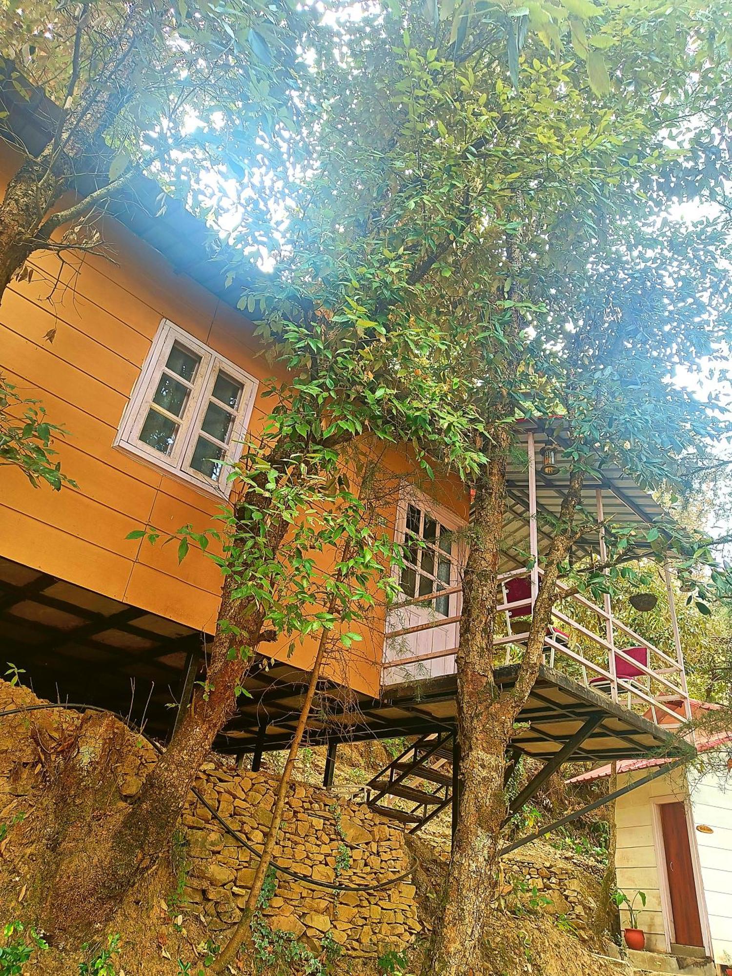 Aaroham Resort Shimla ! Luxury Cottage By Aamod Group Exteriör bild